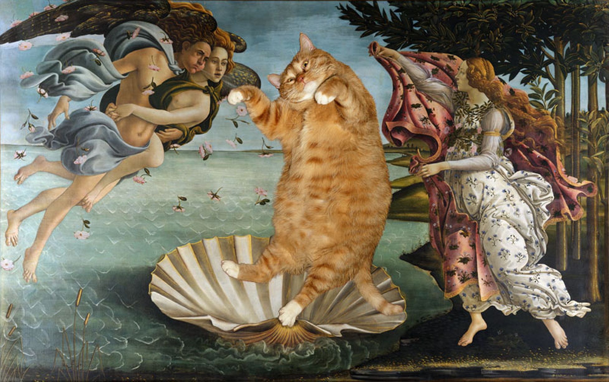 botticelli-the-birth-of-venus-cat-smjpeg